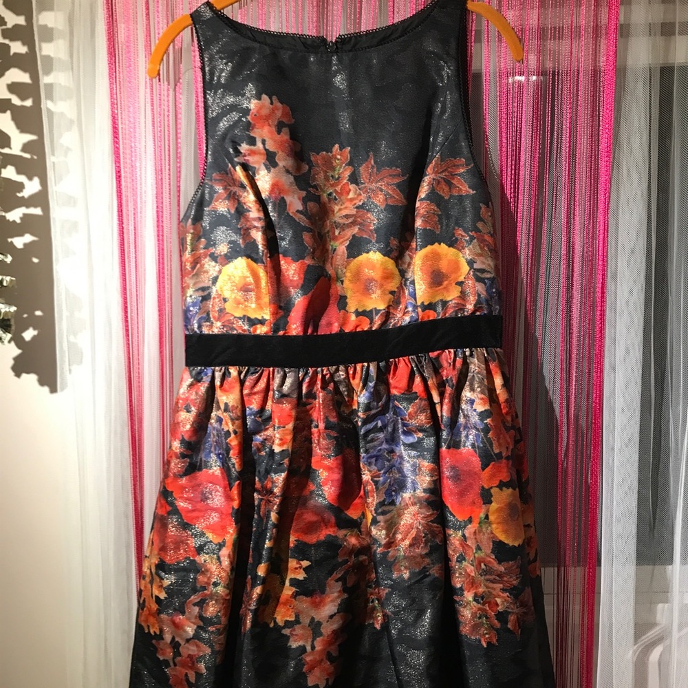 Fancy Adrianna Papell Dress, Size 12 Like New